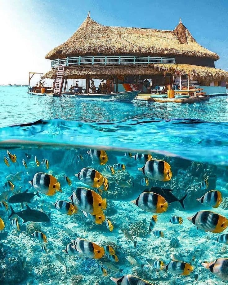 Maldives Paradise