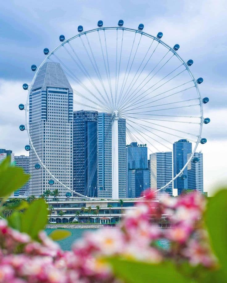 Singapore Delights Discovery